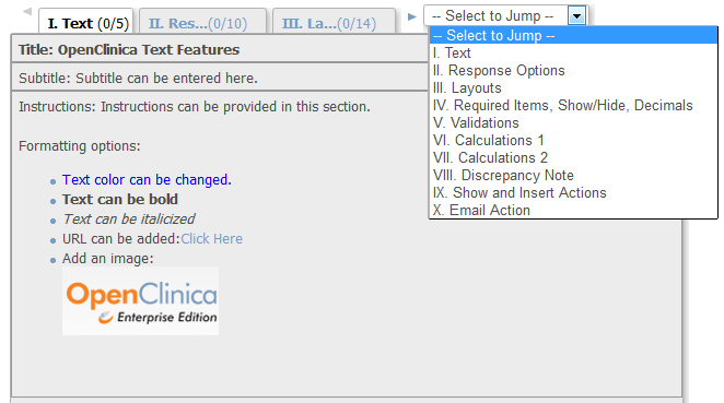 OpenClinica CRF Features – Everything But the Kitchen Sink
