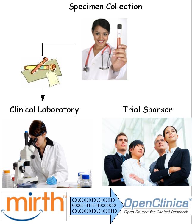Trial Sponsors and Their Contract Labs: Better Collaboration via OpenClinica