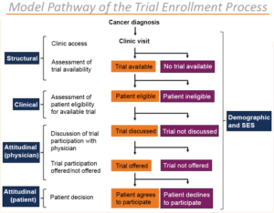 model pathway oncology-pic (1)