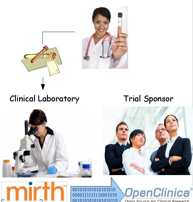 Trial Sponsors and Their Contract Labs: Better Collaboration via OpenClinica